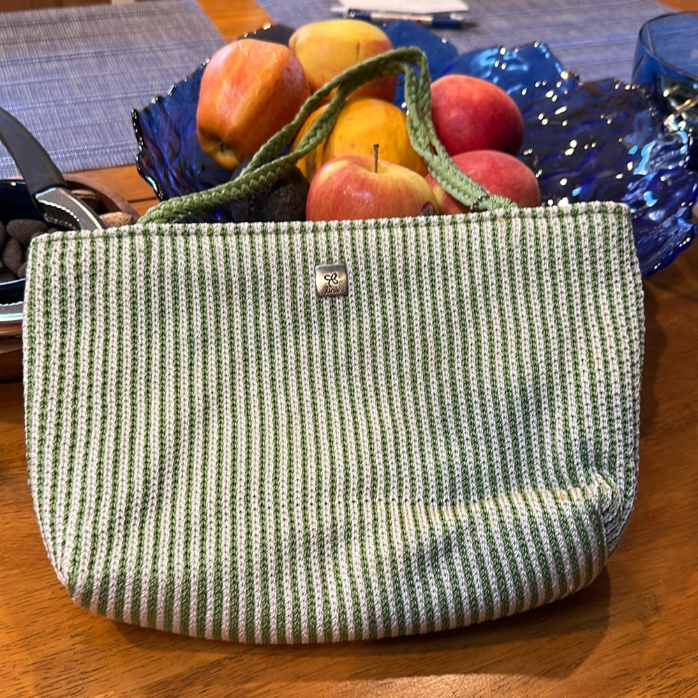 Lina green striped fashion bag with green braided handle. 11x7.